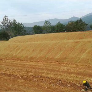 众汇抗冲刷植生毯 荒山固土绿化与工地施工的创新材料选择